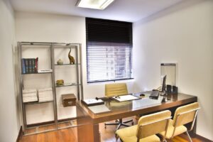 Window Blinds